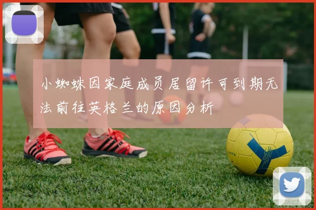 小蜘蛛因家庭成员居留许可到期无法前往英格兰的原因分析