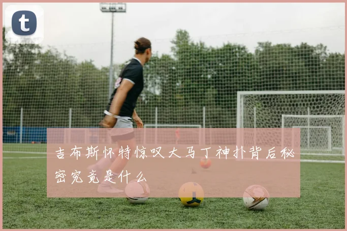 吉布斯怀特惊叹大马丁神扑背后秘密究竟是什么